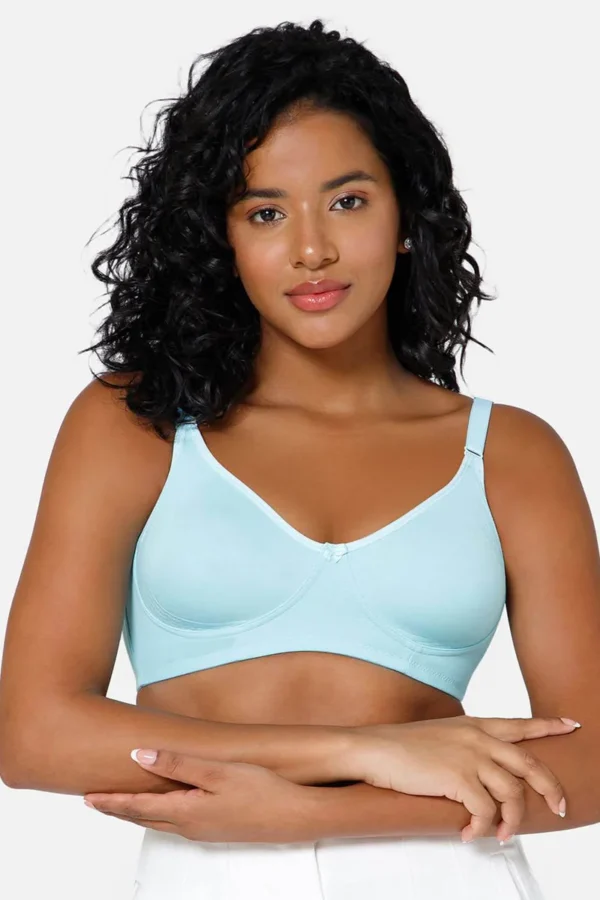 AQUA BRASIER