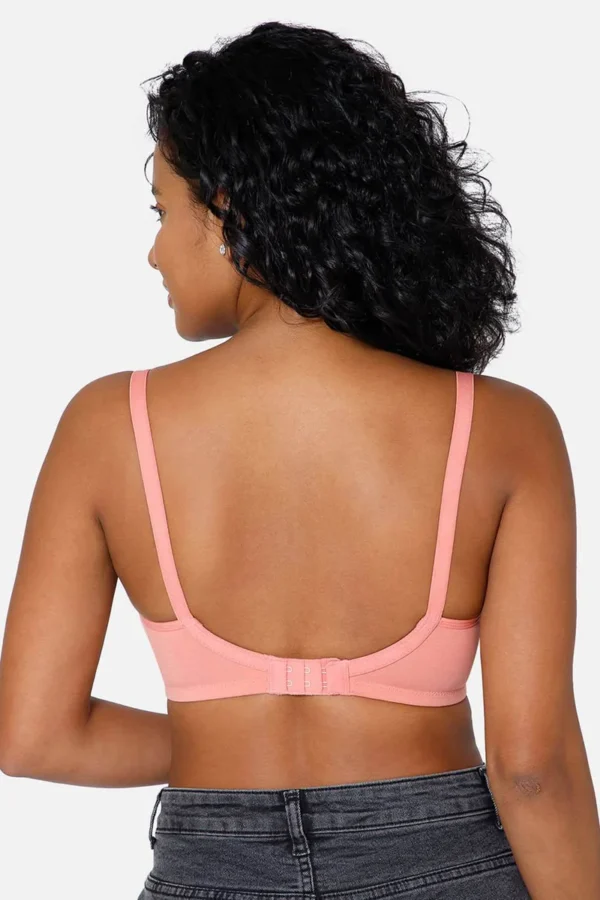 PEACH BRASIER