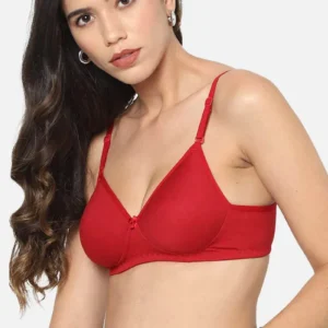 RED BRASIER