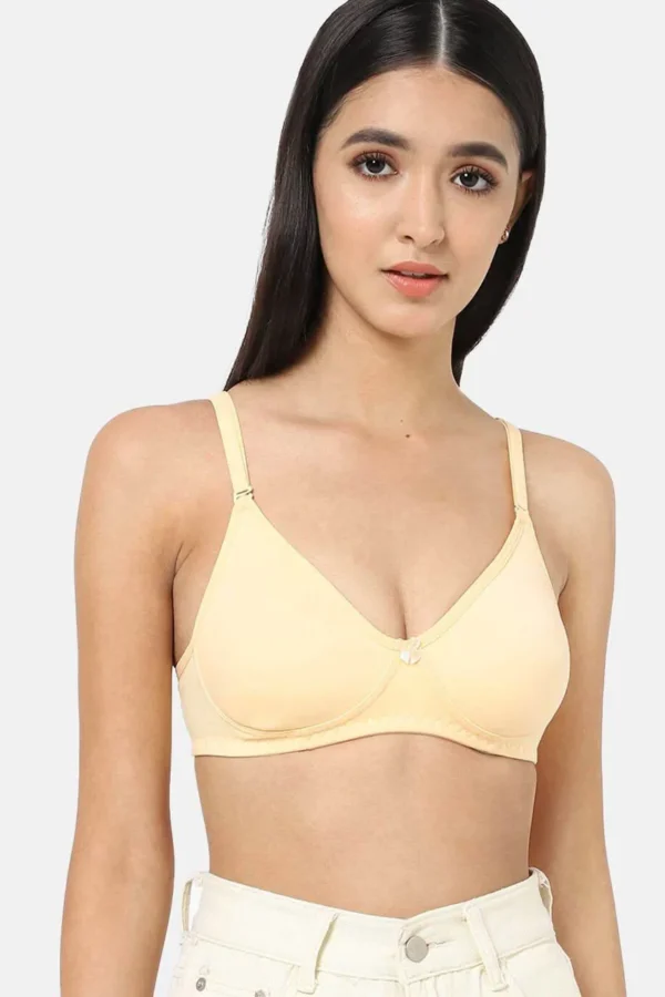SKIN BRASIER