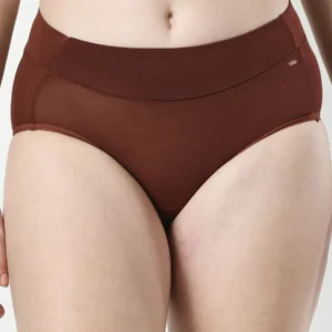 BROWN BRIEFS