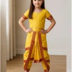 Bharatanatyam Dress